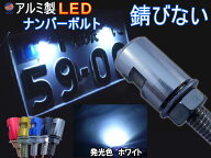 アルミナンバーボルト 【メール便 送料無料】 LEDナンバーボルト 汎用 防水 バイク LEDナンバー灯ボルト …