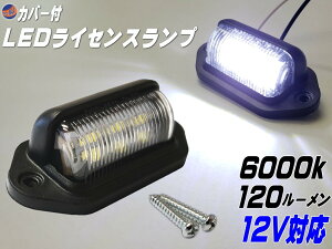 CZXv 12Vp LEDio[ ėp yt Jo[t }`CZXv 6000k 120[ 6`bv DC12VΉ F zCg ^6A Ɠ H obNv }[J
