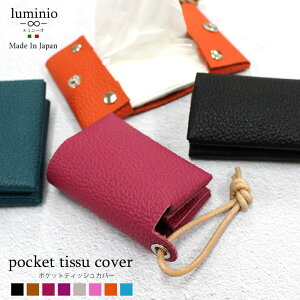 luminio ~j[I |PbgeBbVP[X { {v |PbgeBbV |[` |PbgeBbVJo[ eBbVP[X }`|[` ݂艺 v U[  Mtg PH