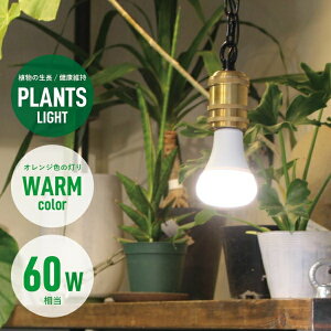 vcCg 60 EH[ dF BRID ubh 3380 60W Ɩ A Cg 琬 琬Cg LED  O[ | G E26 PLANTS LIGHT WARM   10{ v[g