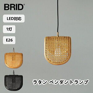 Ɩ ^ y_gv 1 dF F BRID ubh RATTAN PENDANT LAMP 1BULB y_gCg Lb` _CjO Q E26 JS҂   _ Cg LED  G 