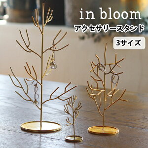 ANZT[X^h c[ in bloom 3TCY [ fBXvC  OWA[ 킢 ^J Vv AeB[N }bg k 10{ V nEB v[g