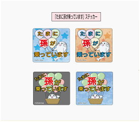 【オリジナル】 孫 ステッカー シール 「たまに孫が乗っています」 120mm角 1枚＜＜送料無料＞＞