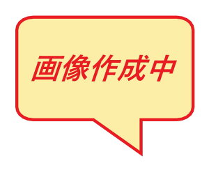 XeX@SUS304@ppCv@L=500mm@1{