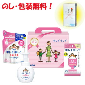 在庫限り！　引っ越し 挨拶 粗品 景品 内祝 記念品キレイキレイ薬用泡ハンドソープ 中元 歳暮ギフトギフトライオン キレイキレイギフトセット LKG-10V