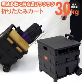 楽天市場 ふた付き キャリー カート 折りたたみの通販