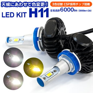 N23色切替LEDキットH11【送料無料】