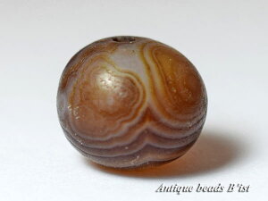 y2009zό`ACoȖlGی^ Dzi 4yƂڋʁzyg{ʁzyr[Yzyp[czyAeB[Nr[YzyzyVR΁z