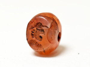 y2511zJ[lA~`y_gTOP^20yƂڋʁzyg{ʁzyr[Yzyp[czyAeB[Nr[YzyVR΁zyp[Xg[zyzyzyantiquebeadszybead