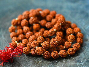 y2103z`xbg5ʃhNVFr[YAA(9.0mm)yƂڋʁzyzCgn[gzyr[Yzyp[czyg{ʁzyzy아zyantiquebeadszybeadszy`xbgzyti