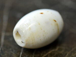 y1603ziKI[oLr[YCyƂڋʁzyAeB[Nr[Yzyr[Yzyp[czyVFz