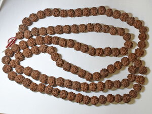 y2505z̎ hNV5ʑ嗱r[YA2yzyzyzyantiquebeadszybeadszyhNVzy`xbgzytibetzyzy}[[z