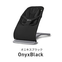 楽天市場】エルゴ インサートの通販