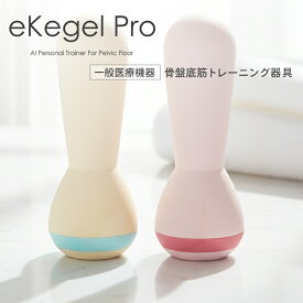 骨盤底筋 産後の悩み くしゃみの漏れ 一般医療機器 eKegel Pro イーケーゲルプロ 骨盤底筋訓練器具 アプリ連動の骨盤底筋サポート トレーニング アイテム 膣トレの最先端へ 骨盤底筋 エクササイズ 尿もれ マッサージ femtech マシン 年子出産 双子 産後ケア 産後復帰 骨盤