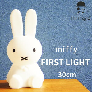 ~btB[ iCgCg ̎S R[hX ^тɕ֗ 30cm Ki Ԃ xr[ 鋃 ~btB[Cg Cg ~btB[t@[XgCg miffy FAST LIGHT ԐڏƖ 