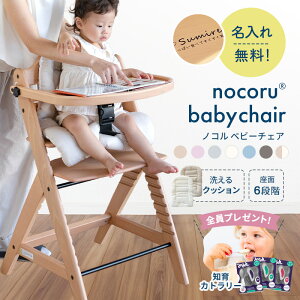 ؓTtI ꖳ nocoru mR xr[`FA  bZ[W ؐ qǂ 6iK  􂦂 NbVt e[ut l܂Ŏg i` j Mtg v[