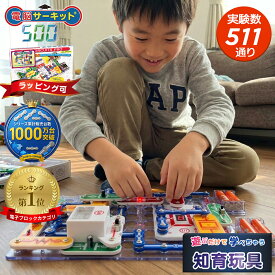 【スーパーセール特価★6/10まで！】男の子 5歳 6歳 7歳 プレゼント 小学生 知育玩具 【電脳サーキット 500】 正規品 おもちゃ パズル 8歳 9歳 電子ブロック 誕生日 誕生日プレゼント 入学祝い 女の子 人気 電子玩具 電気 ブロック 玩具 科学 EX-150 電気回路 電池不要