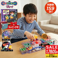 【マラソン限定価格】プレゼント 小学生 男の子 子供 6歳 7歳 8歳 9歳 10歳 誕生日プレゼント 【電脳サー…