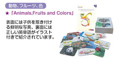 動物、フルーツ、色のカード