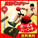 腹筋マシン 【正規品】 【公式】 腹筋 腹筋パンチャー 筋トレ 腹筋マシーン 腹筋ローラー 送料無料 ベンチ トレーニング 器具 グッズ ストレス解消 エクササ...