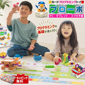 �_300�~�N�[�|���L���^ �v���O���~���O �������� ���{�b�g �N���X�}�X�v���[���g �q�� ���w�� �m��ߋ� 3�� 4�� 5�� �N���X�}�X �v���[���g �c�� �j�̎q ���̎q �����L���O �l�C �a���� �ߋ� 