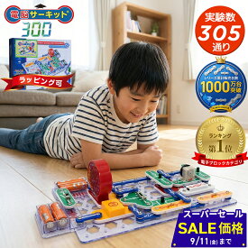 【マラソン★2,000円OFF】5歳 6歳 男の子 プレゼント 子供 知育玩具 小学生 誕生日 【電脳サーキット 300】 正規品 電子ブロック 7歳 8歳 9歳 10歳 11歳 電気 ブロック 玩具 実験 プログラミング おもちゃ 回路パズル 誕生日プレゼント クリスマス 入学祝い 人気 ランキング