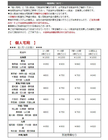 【木製カウンターチェア/CCK408/ナチュラル(ビーチ)色】カウンターチェア白木/木製ハイカウンター椅子薄茶色/木製ハイチェアスタンド椅子/木目/白木