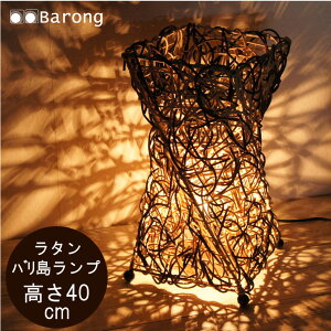 yIz^AWAv! NL-020SE40cmEdAR[htI /@v u^Cg CeAƖ ԐڏƖ _ Ɩ AWAv AWACeA AWA