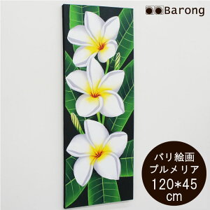 yIzoG vA zCg 45cm×120cmiPA-101WHj / AWAG AWAƋ AWACeA oG oƋ AWAG c^G ^G G G