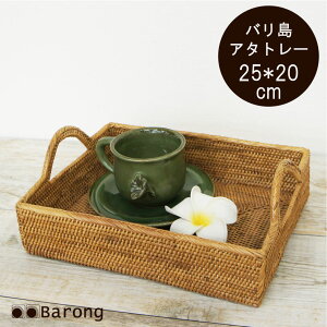 yIzoA^ A^g[ 25×20cm/ A^ gC ~ t[hg[ AWAG AWACeA oG oƋ A^G oXPbg  ҂