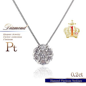 _Ch lbNX v`i fUClbNX t[ v[g  a fB[X WG[  j Mtg Pt900 Pt850  蕨 a LO ޏ   