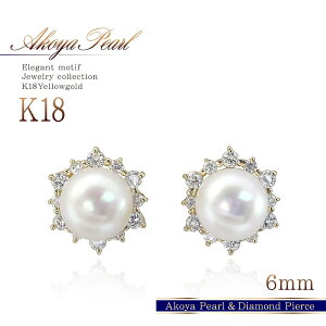 ^ sAX zCgS[h 18 6a 6mm p[ ^ WG[ _Ch fB[X  񎟉 w Ǝ AR^ 18K K18 j LO v[g 