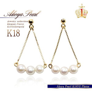 ^ sAX 18k 6a 18 p[ 킢 K18 CG[S[h 3A h ^ a v[g  3@fB[X WG[ S[h gCAO `F[ X^