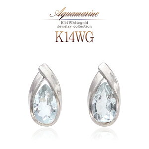 ANA} a sAX 14 zCgS[h J[Xg[  ꗱWG[ K14 WG[ Ԃ i  ؚ Vv ANA}sAX  l a LO v