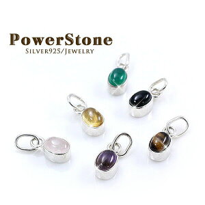 y_ggbv ANZT[ޗ SILVER925 VR [֑ lbNXgbv v`v lbNXp[c ANZT[ IWi  Vo[ p[Xg[ ^CK[AC 