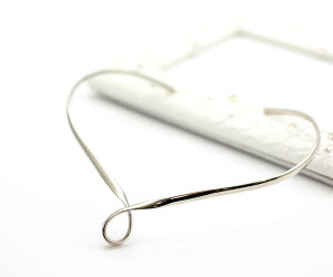 Vv _  cCXg VFCv `[J[ Vo[ fUC lbNX IV Vv hbv    [ p[eB[ hX GKg ] p  fB[X 