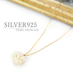 Wp[ lbNX Vo[925 ANZT[ fB[X [֑ W^ S[h y_g  i p[ ^ silver925 Ă΂ ig H Y  R