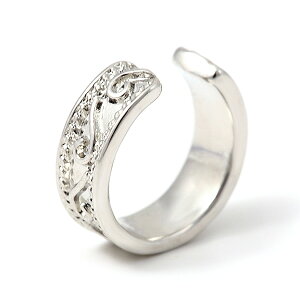 C[Jt Ўp Nbv [֑ C[JtX fB[X ANZT[ Ўp  v`v 1 accessory S[hF Vo[F F F CO R[f R[fB