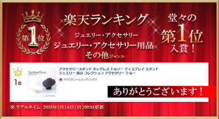 アクセサリースタンドネックレストルソーディスプレイスタンドジュエリー展示コレクションアクセサリートルソ店頭店舗ネックレススタンドジュエリースタンド飾るお店什器シンプルネックレスブラウンホワイト白茶色華奢シンプル