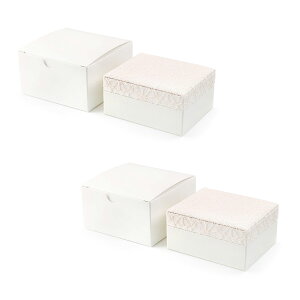 ANZT[ [  P[X {bNX  WG[ ۊ fBXvC Vv [X  t[ lp` CeA ANZT[P[X WG[P[X w O s