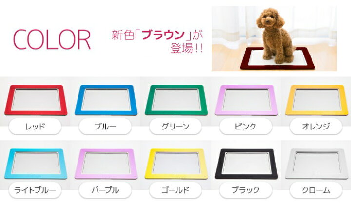 楽天市場】犬 トイレ レギュラー おしゃれ 小型犬 マツミ Ours  