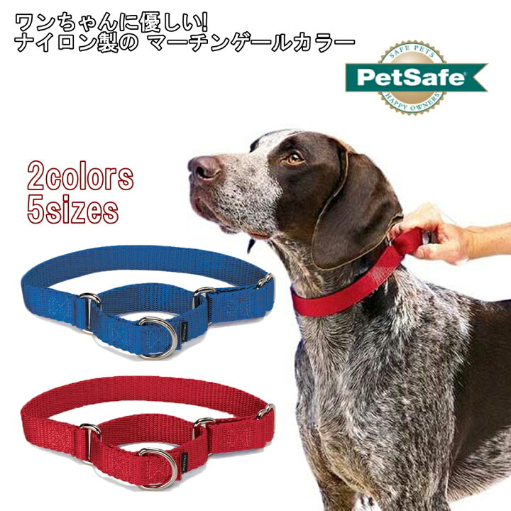 楽天市場】犬 首輪 大型犬 お散歩 しつけ ハーフチョーク 