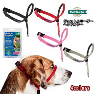 ジェントルリーダー 犬 ヘッドカラー マズル装着 しつけ ペットセーフ Pet Safe ジェントルリーダー クイ…