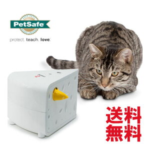 L lR   lV d ybgZ[t Pet Safe t[[Lbg `[Y