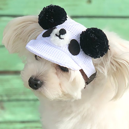 送料無料 大人気のアニマルシリーズ 犬 帽子 ペット 被り物 おしゃれ 紫外線対策 Eden Of アニマルキャップ Garden 気質アップ パンダ 大注目