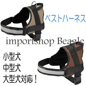 �݌ɏ����Z�[�� �x�X�g�n�[�l�X �������@���֏��^���p ���^���p ��^���p ���U�� ���o�|���@�V���v�� �u���E�� �u���b�N�y���p�i�E�y�b�g�O�b�Y�EDOG�E�Z�[���z