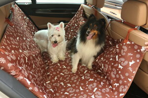 }\Z[ yCY[  o| ybg hCuV[g 㕔ȗp J[V[g@ȃV[gJo[ ԗpi@@p@J[piy^E^E^z