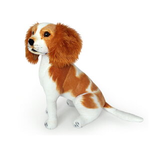  ʂ LoALO`[YXpjG A  CeA v[g pI l` Mtg u CeA 傫 q    IuWF LoAEL