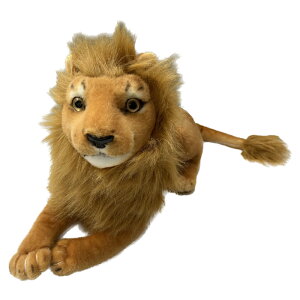 CI ʂ CeA   IuWF v[g Mtg a v[g ʂ݁@NX}Xv[g