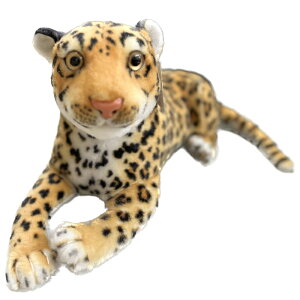 qE ʂ CeA   IuWF v[g Mtg a v[g ʂ